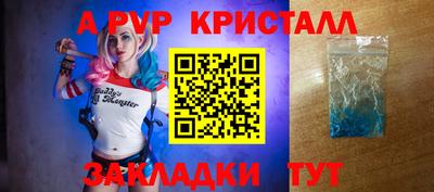 стафф Моздок