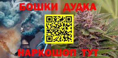 кокс Нальчик