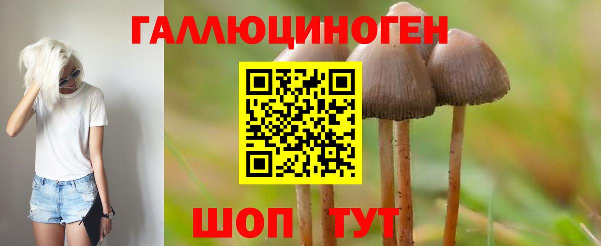 Псилоцибиновые грибы MAGIC MUSHROOMS  Вход с VPN  Псилоцибиновые грибы мухоморы  Уварово 